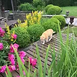 ヴィラ Maison Et Son Jardin Situes Dans Le Condroz Marchin