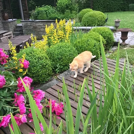 빌라 Maison Et Son Jardin Situes Dans Le Condroz Marchin