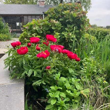 Maison Et Son Jardin Situés Dans Le Condroz Villa *
