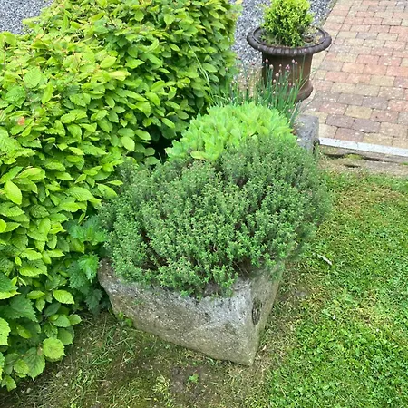 Villa Maison Et Son Jardin Situes Dans Le Condroz *