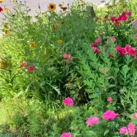 Maison Et Son Jardin Situes Dans Le Condroz *