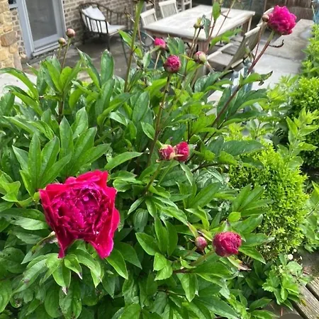 Maison Et Son Jardin Situes Dans Le Condroz