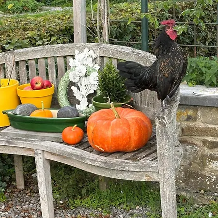 Maison Et Son Jardin Situes Dans Le Condroz ヴィラ